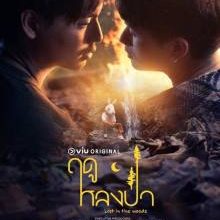 Lost in the Woods (2025)