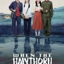 When The Hawthorn Blooms (2025)