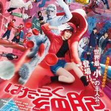 Cells at Work (2024)