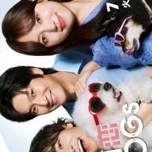 Hatsukoi DOGs (2025)