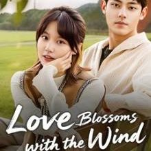 Love Blossoms with the Wind (2025)