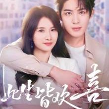 A Lifetime of Happiness (2025)