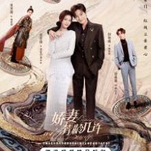 Keeping up with Beauty (2025)