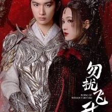 Flying up without Disturb (2025)