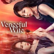 Vengeful Wife (2025)
