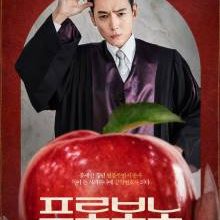 Pro Bono (Korean Drama 2025)