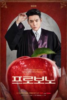 Pro Bono (Korean Drama 2025)