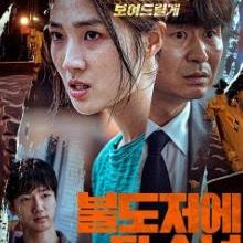 The Girl on a Bulldozer (2021)