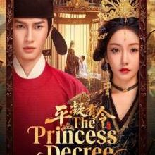 The Princess Decree (2025)