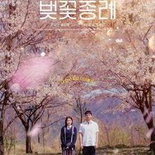 Blossom Graduation (2025)