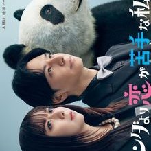 We Are Worse at Love than Pandas (2026)