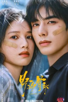 Love for You (2026)