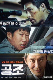 Confidential Assignment (2017)