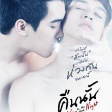 Poster of Red Wine in the Dark Night (2015)