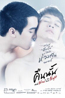 Red Wine in the Dark Night (2015)