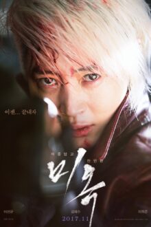 A Special Lady (2017)