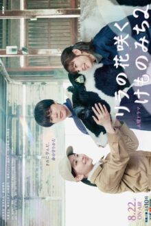 In Lilac Bloom, the Path to a Veterinarian Season 2 (2026)