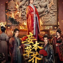 Poster of Revenge from a Wife (2026)