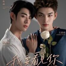 Poster of Till I See You (2026)