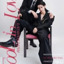 Poster of Fool in Love (2026)