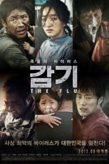 The Flu (2013)